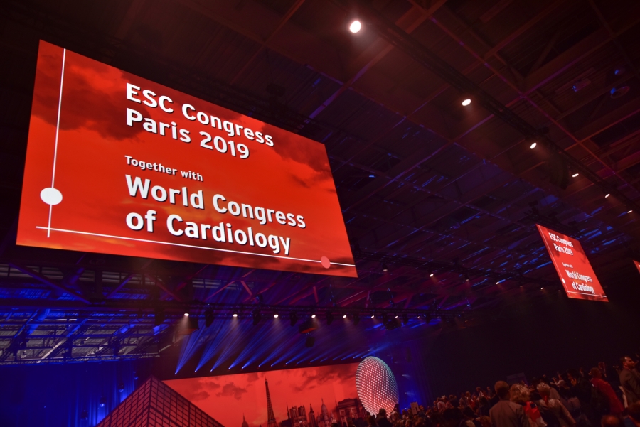 Uma viagem de dois minutos pelo melhor do ESC 2019